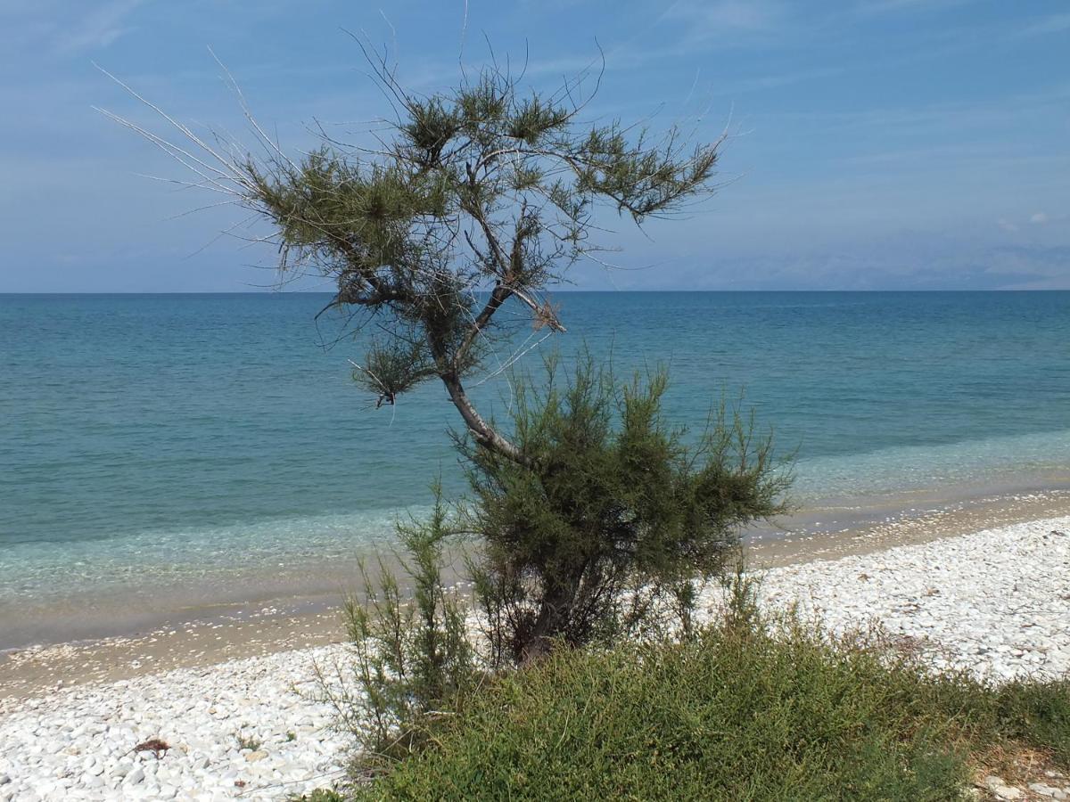 אצ'ארבי Frosos Beachfront Maisonette Acharavi מראה חיצוני תמונה